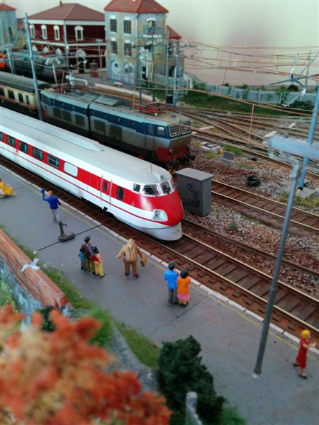 IMG_20150510_113831-1 (450 x 600).jpg