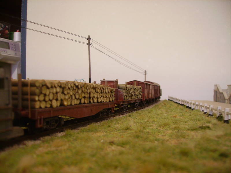 IMGP2824.JPG
