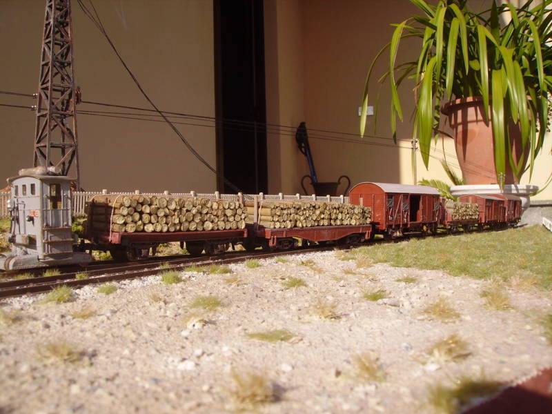 IMGP2851.JPG