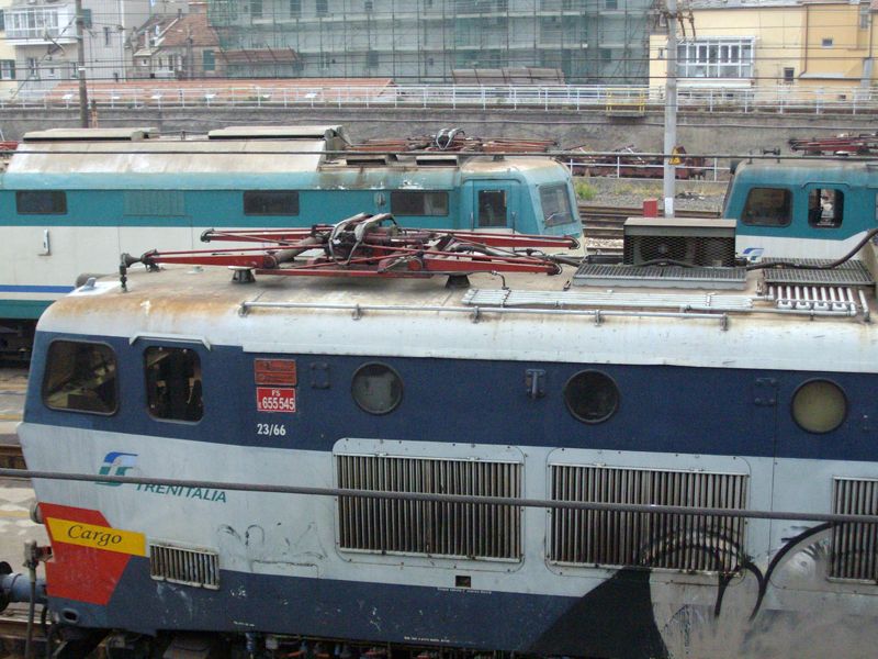 IMGP5513L.JPG