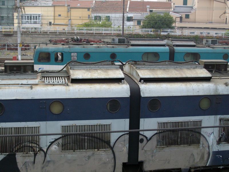IMGP5514L.JPG