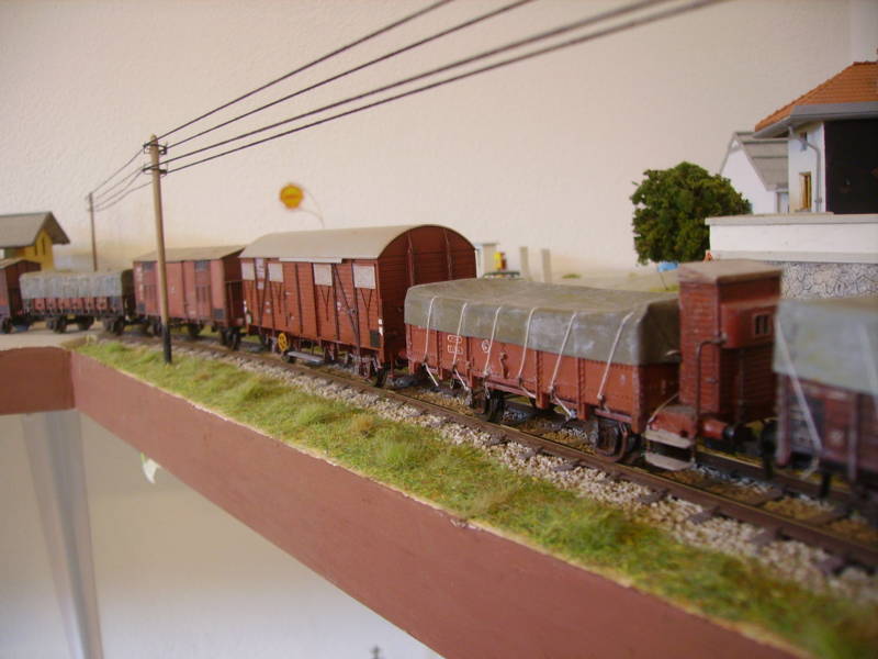 IMGP2994.JPG