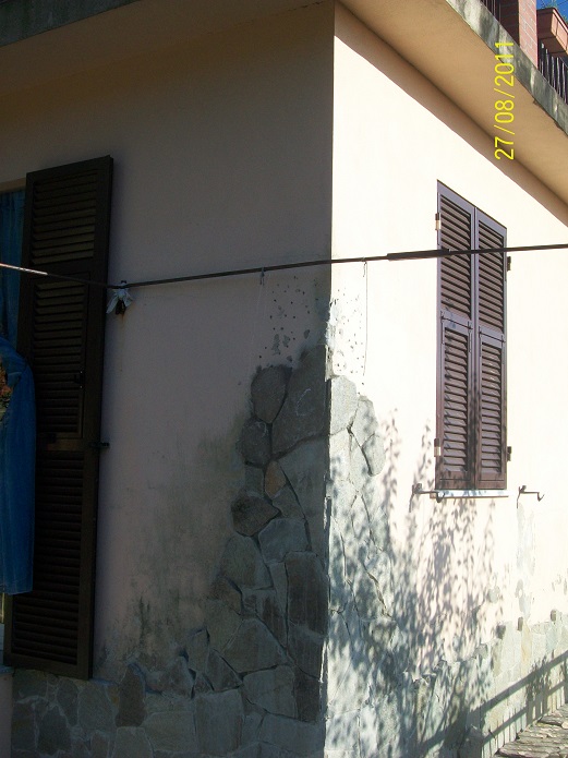 100_2707 resized.jpg