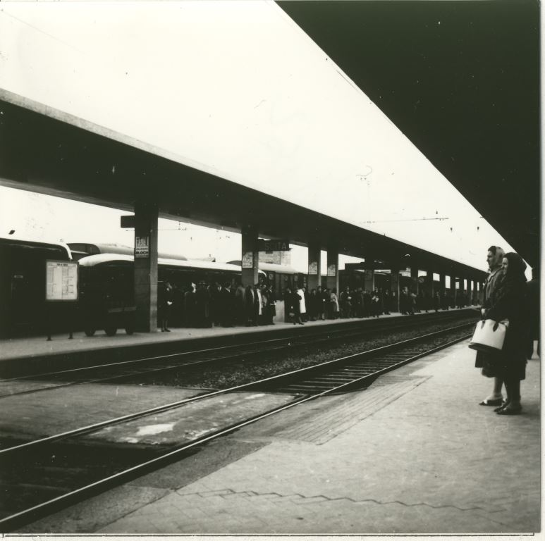 Treviso 1962 (4).jpg