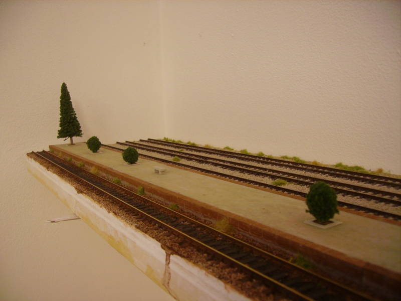 IMGP3081.JPG