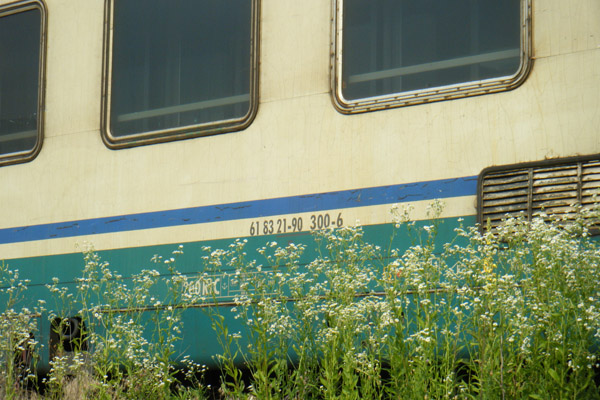DSCF2023.jpg