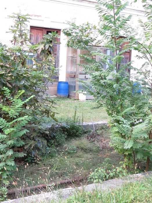 2015.09.26 chions azzano decimo Roberto Marcuzzo IMG_2568.JPG