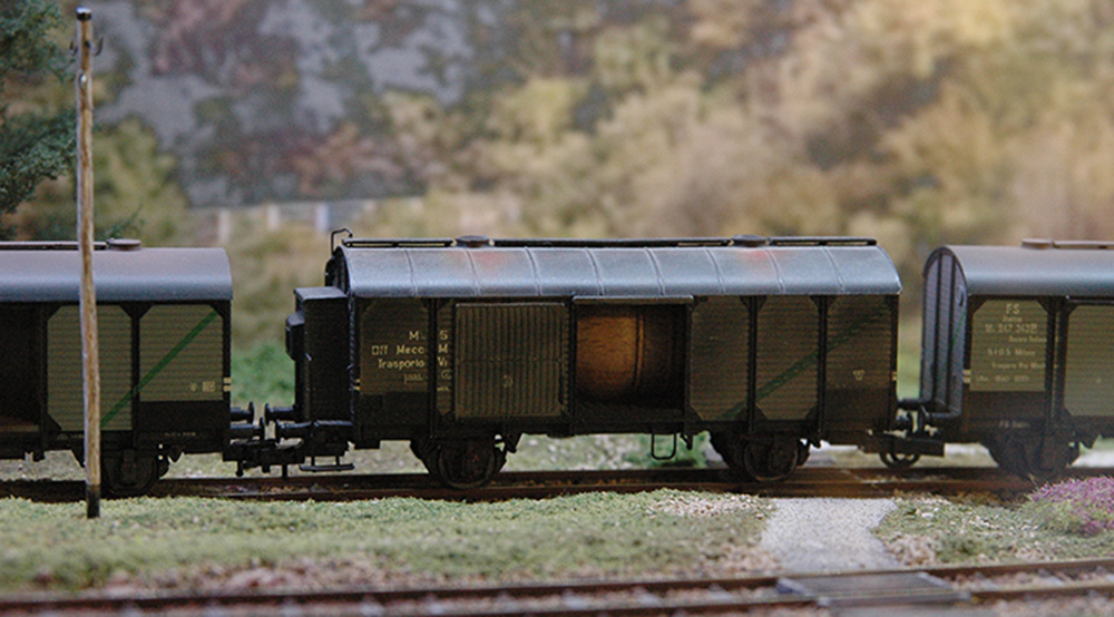 DSC_4624---.jpg