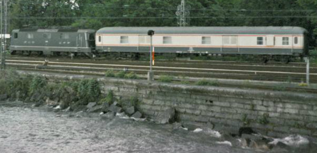 bagagliaiobandierasvizzera.jpg