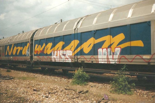 5962.jpg