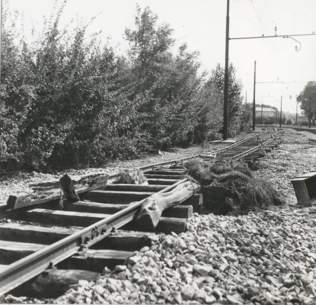 danni impianti 001.jpg