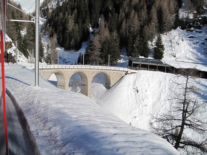 _MG_0875.JPG